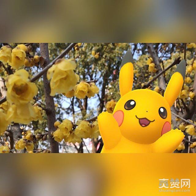 精灵宝可梦,爽赞网,Pokemon GO,社群活动,迷你龙